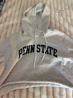 Cropped Penn State Gray Hooded Sweatshirt worn once perfect condition